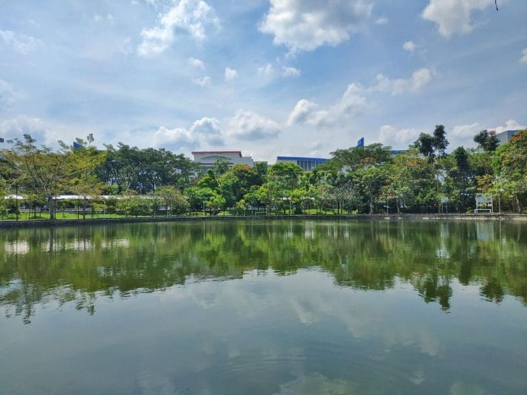 6091490208714436412 121 1