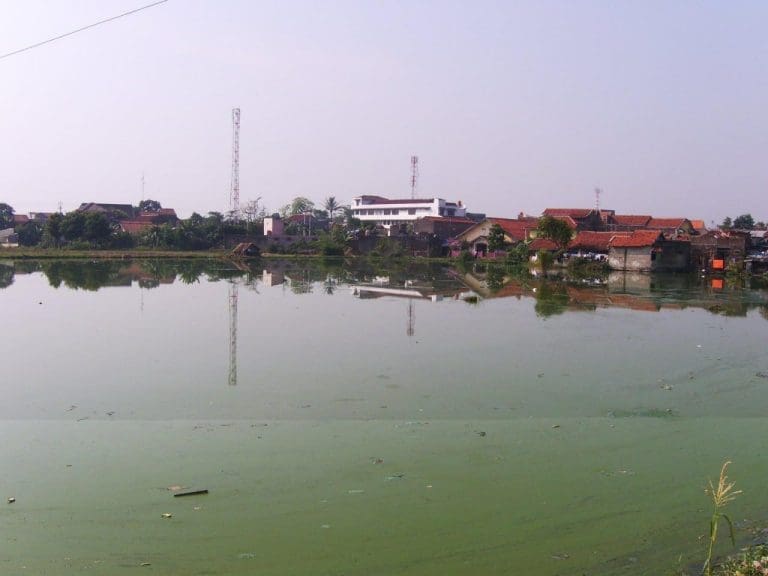 6091490208714436551 121