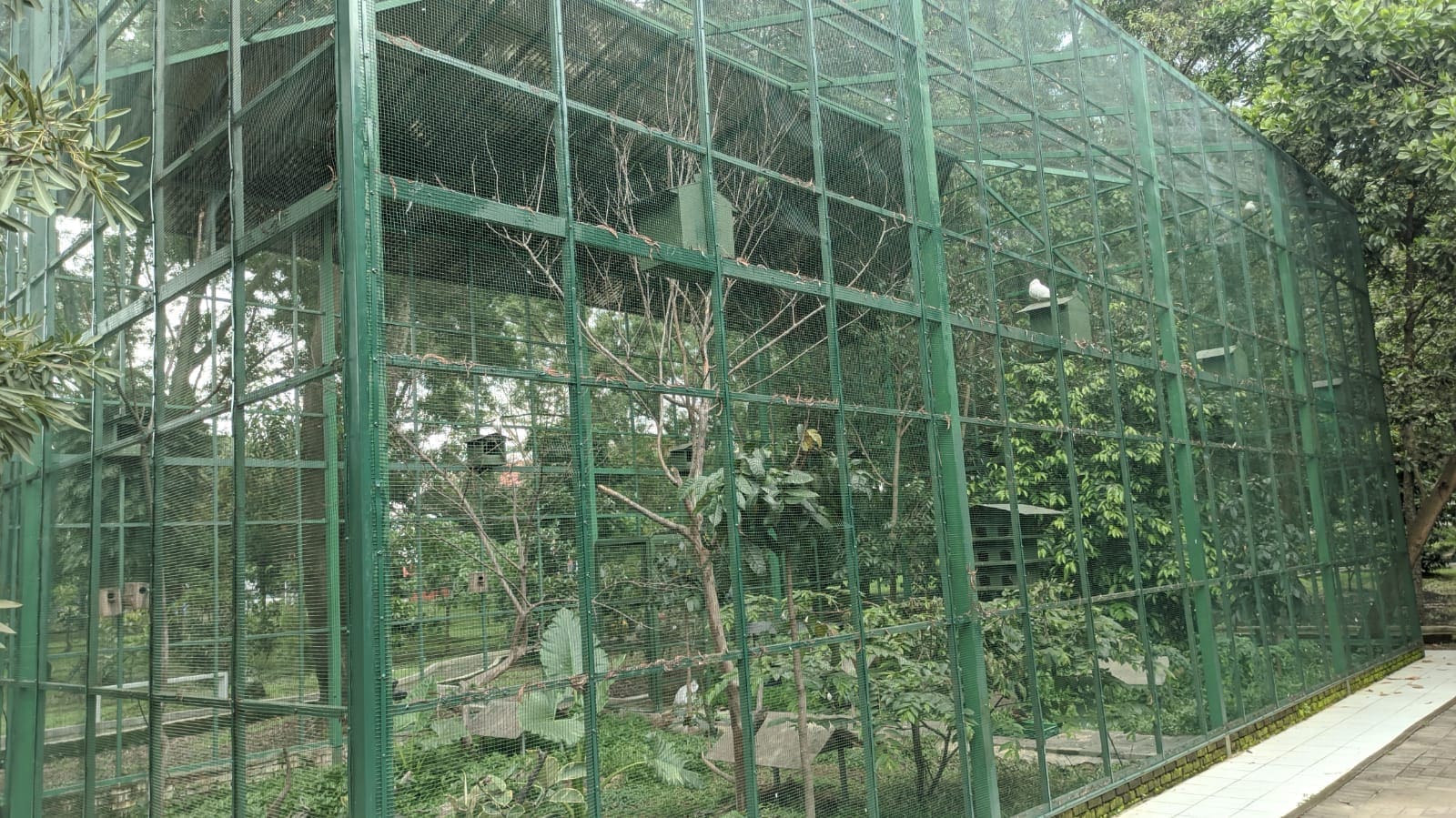 IMG 20211225 WA0005 1