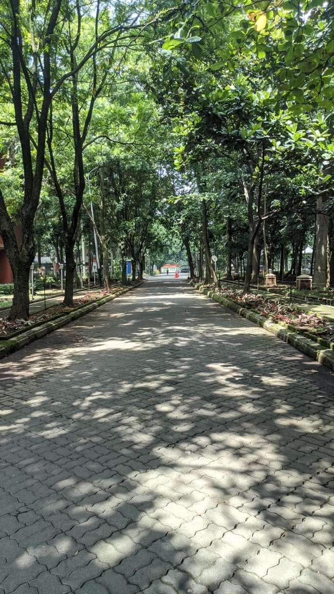 lingkungan asri Telkom University 3