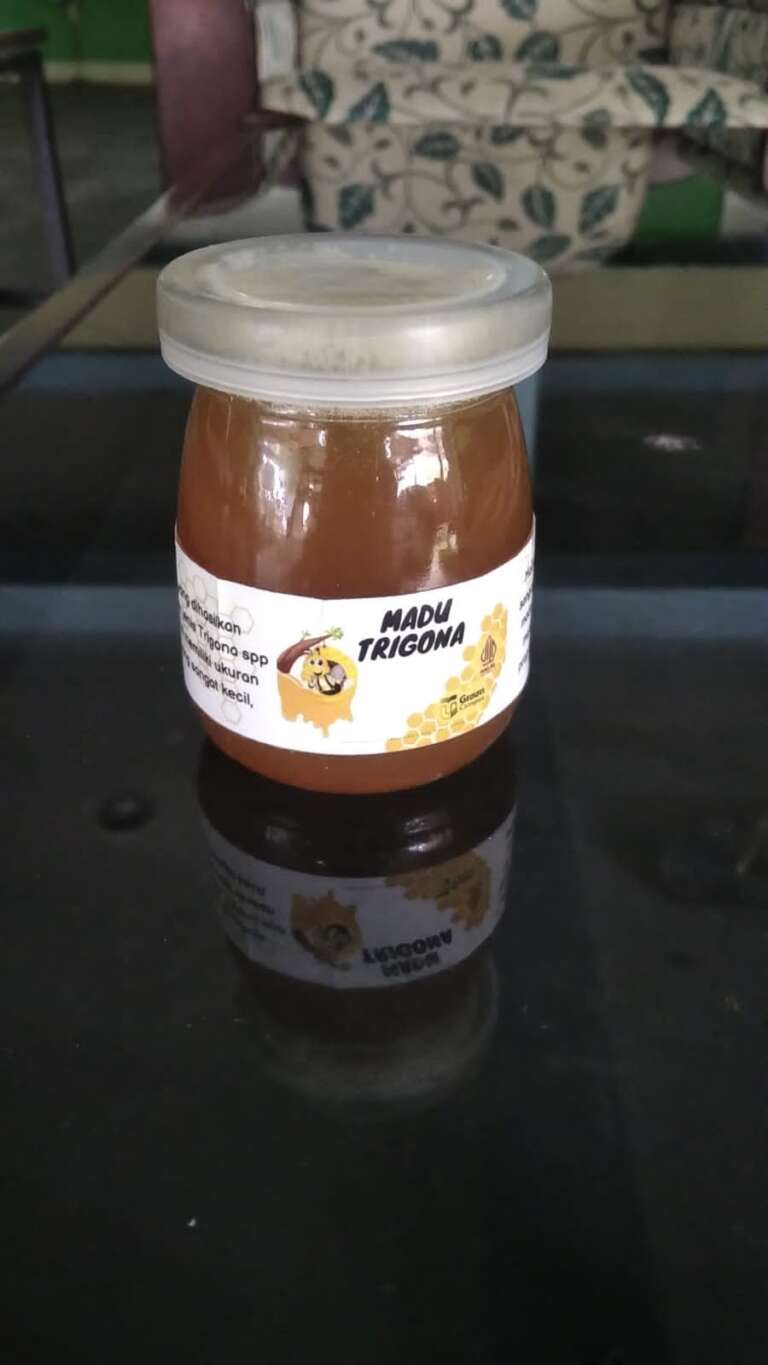 Madu Trigona Produksi Madu di Telkom University Green Campus