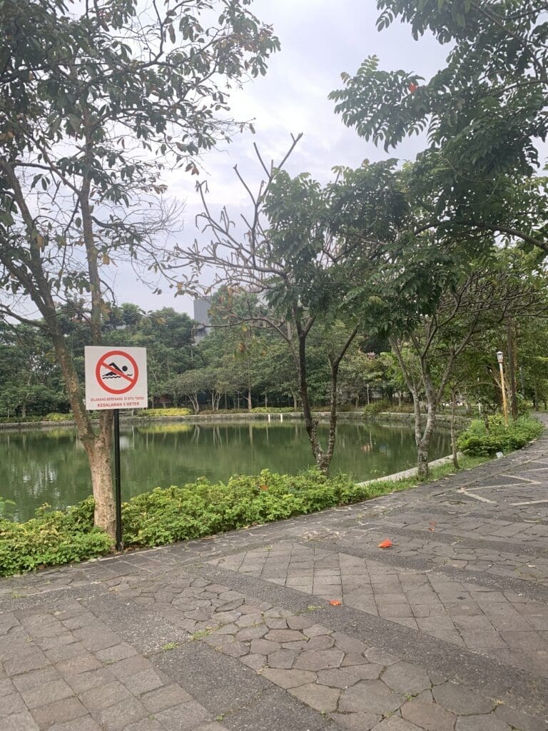 80A1B091 BE74 4680 B062 F74A10D61368 scaled