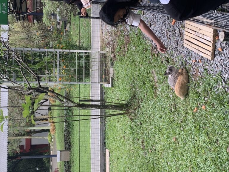 green campus telkom university 1 scaled