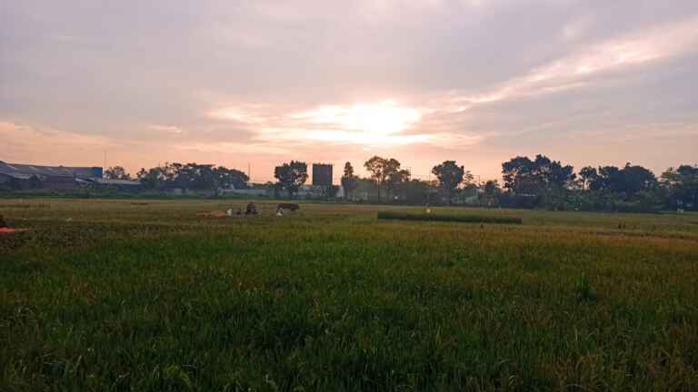 IMG 20230426 WA0021(1)