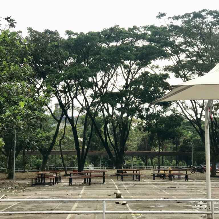 ruang terbuka hijau di telkom university 1