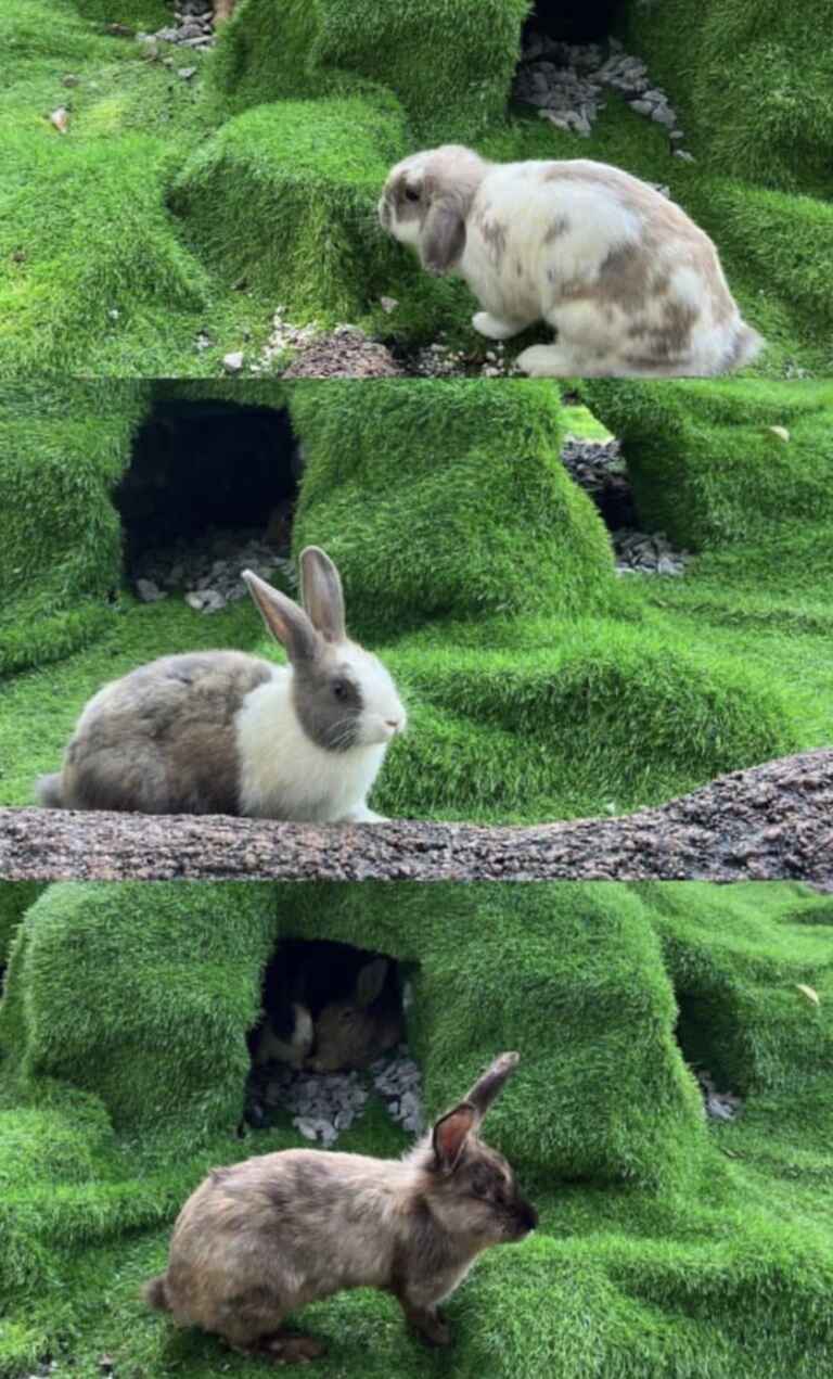 telkom university green campus 3