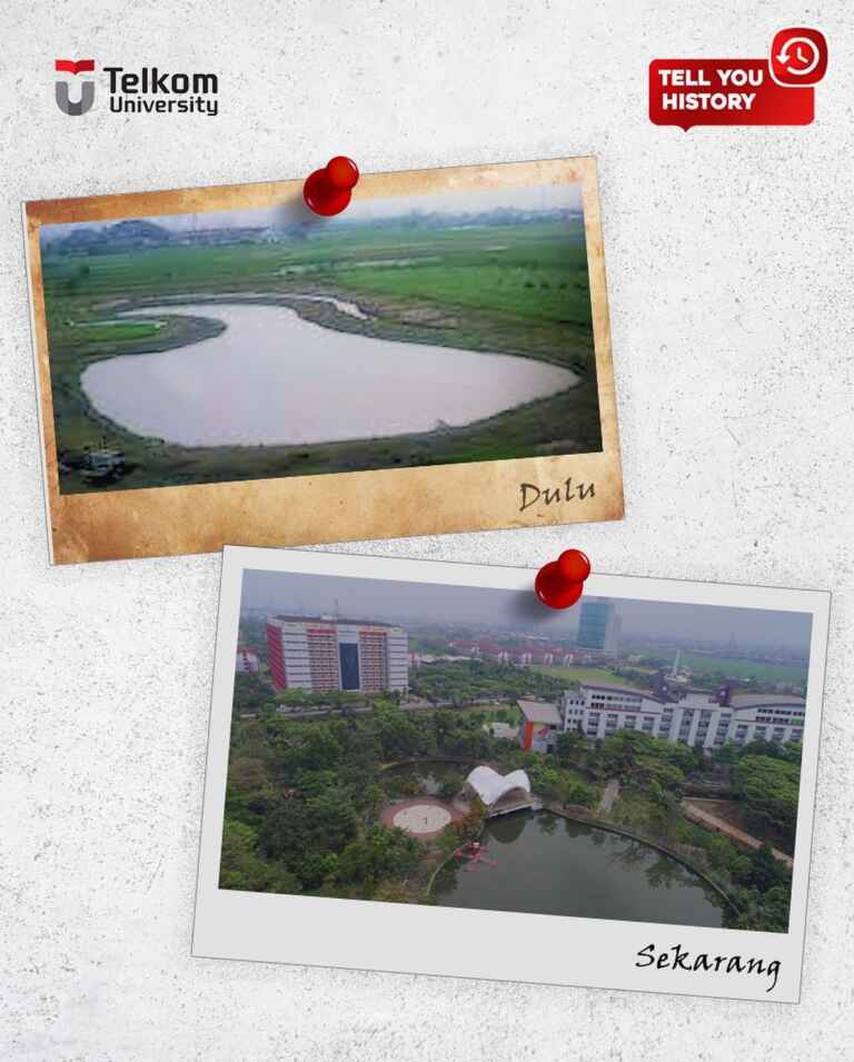 telkom university history