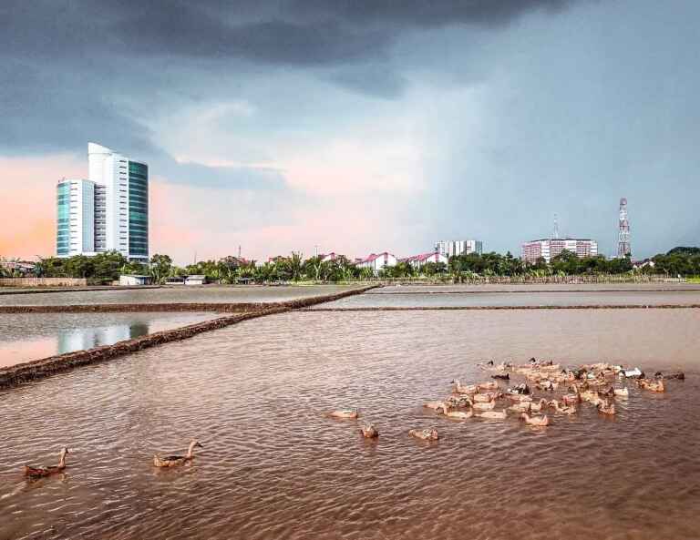 telkom university view