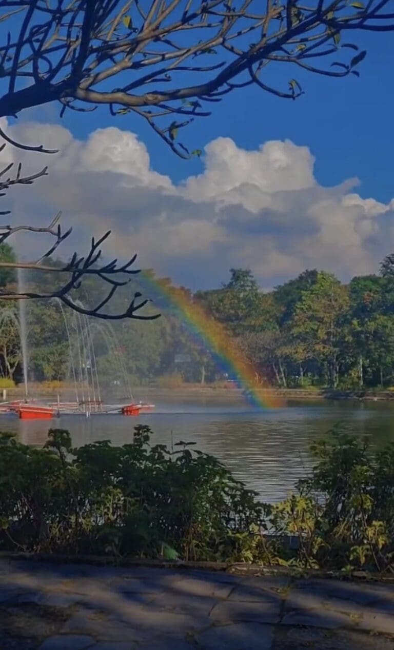 AF3DC4B6 B57F 49AB 84C5 8E0930F95E58