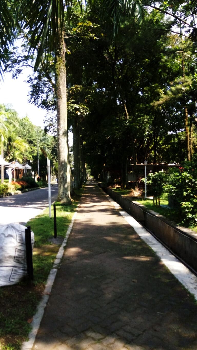 WhatsApp Image 2023 05 24 at 12.13.14