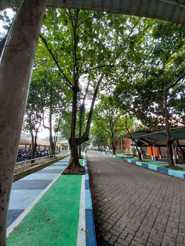 WhatsApp Image 2023 05 29 at 13.49.56