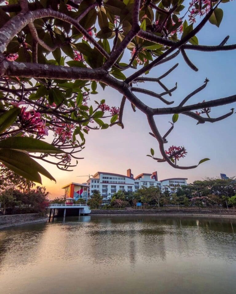 6F35FFA2 A2EC 4808 942C A110687F6EA0