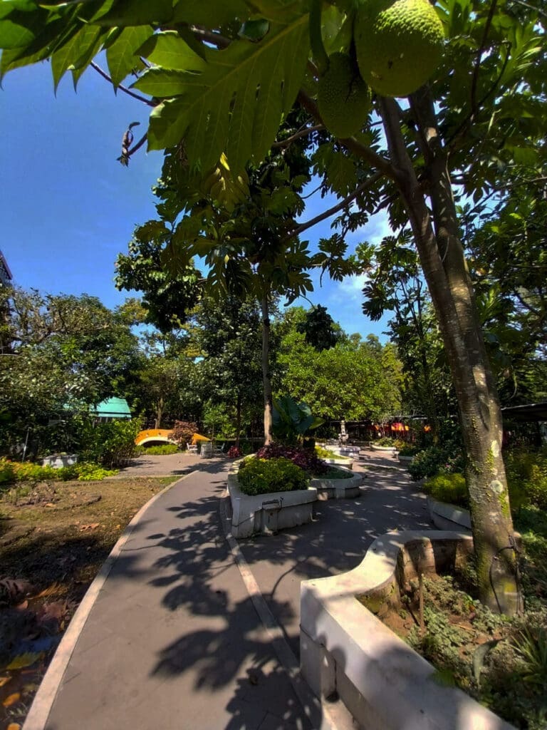 Taman Belakang Gedung Bangkit Telkom University