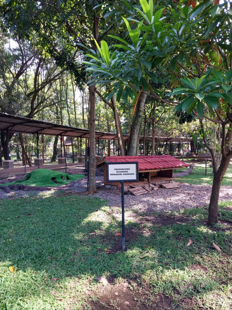 Kandang Kelinci Di Telkom University