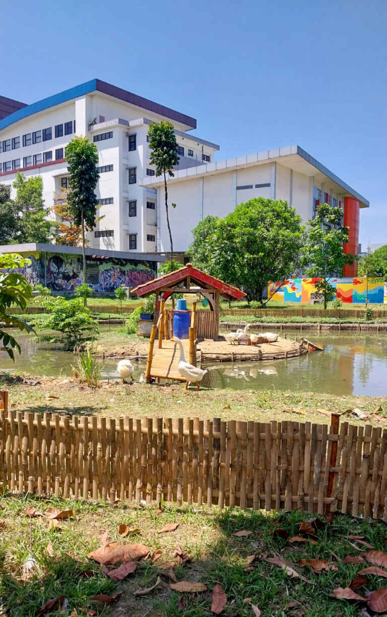 Kandang Soang Telkom University