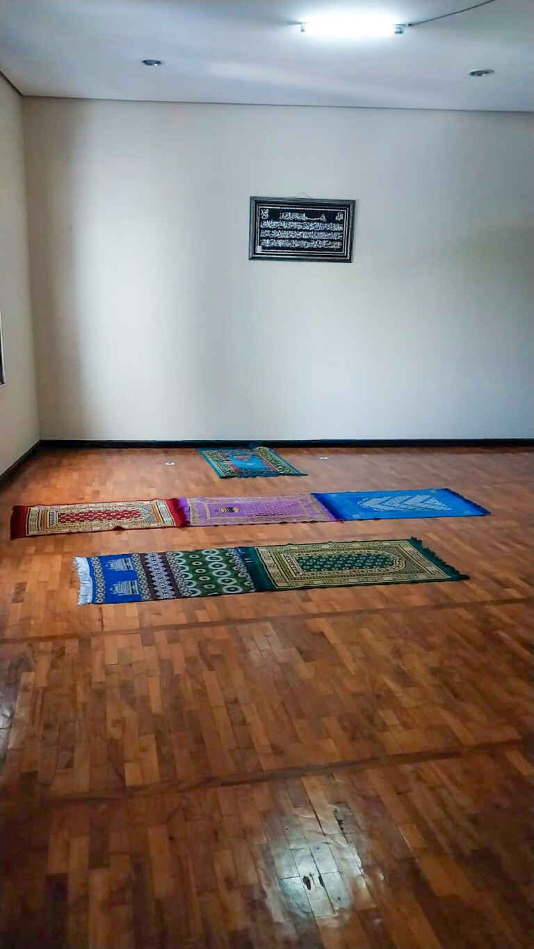 Mshola Pria Tampak BElakang