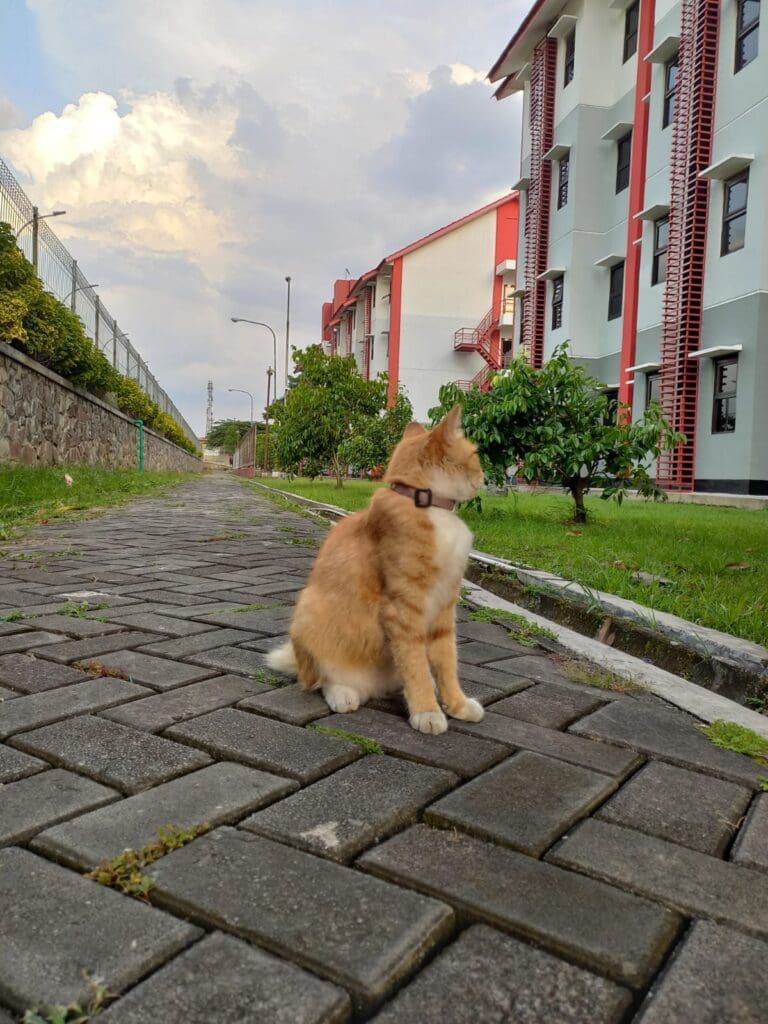 WhatsApp Image 2023 08 21 at 22.41.18