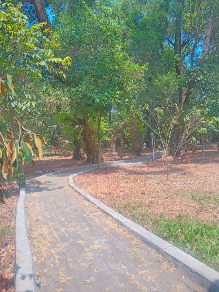 20231011 133107 307[1]