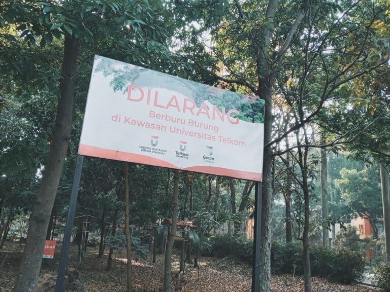 20231013 075442 895[1]