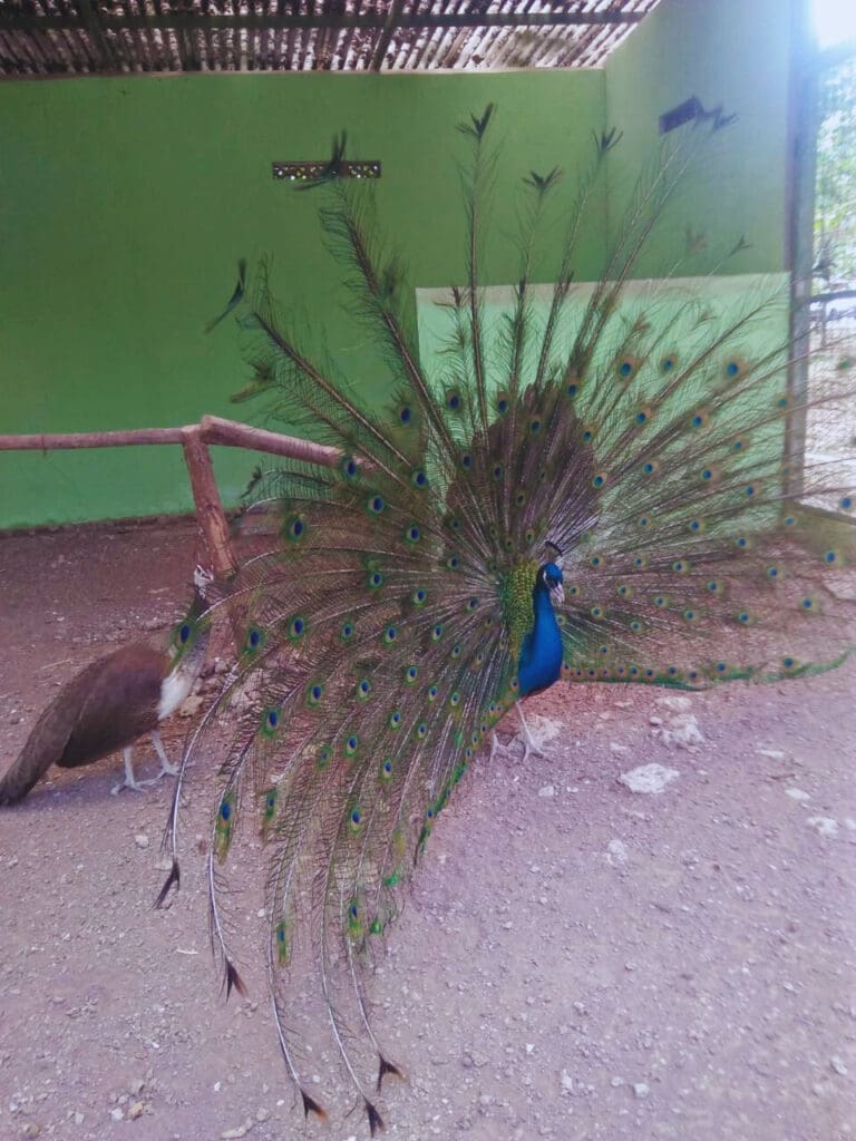 41b2e134 7a2b 4ff9 b825 d800cad2e940