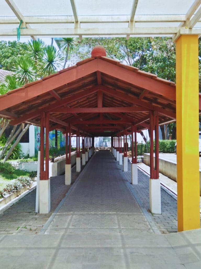 492ba462 93cd 41c6 a1f0 89e9d20789b0