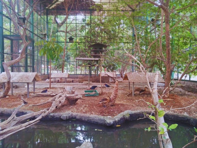 71614c7b 53d7 47ac a3cd 196d23f77f74