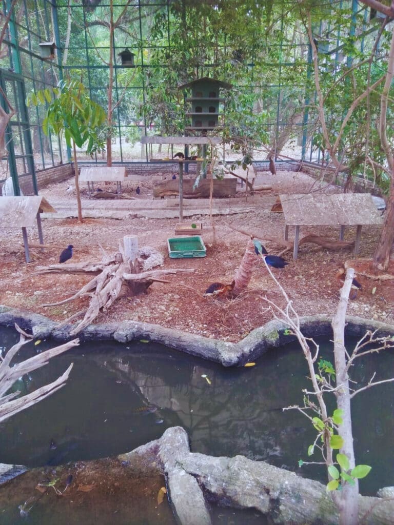 8907c878 2efe 42d8 a604 92da585e6d81