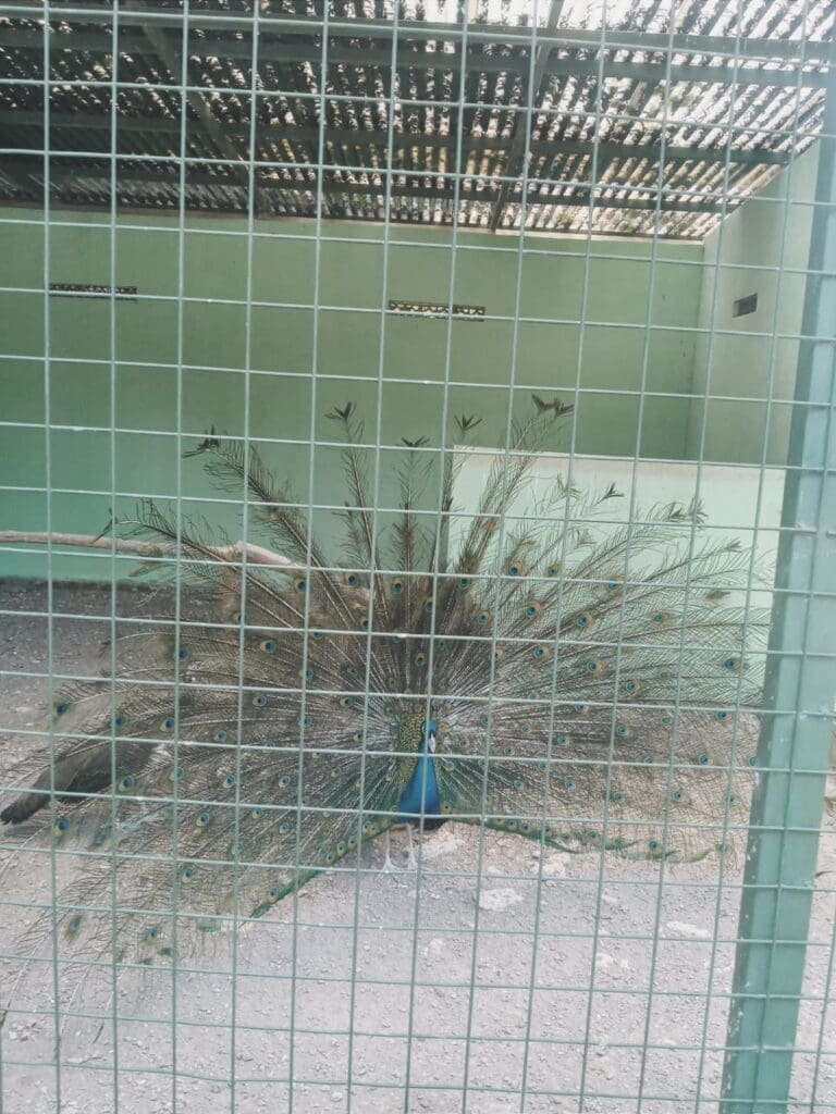 WhatsApp Image 2023 10 03 at 14.16.05