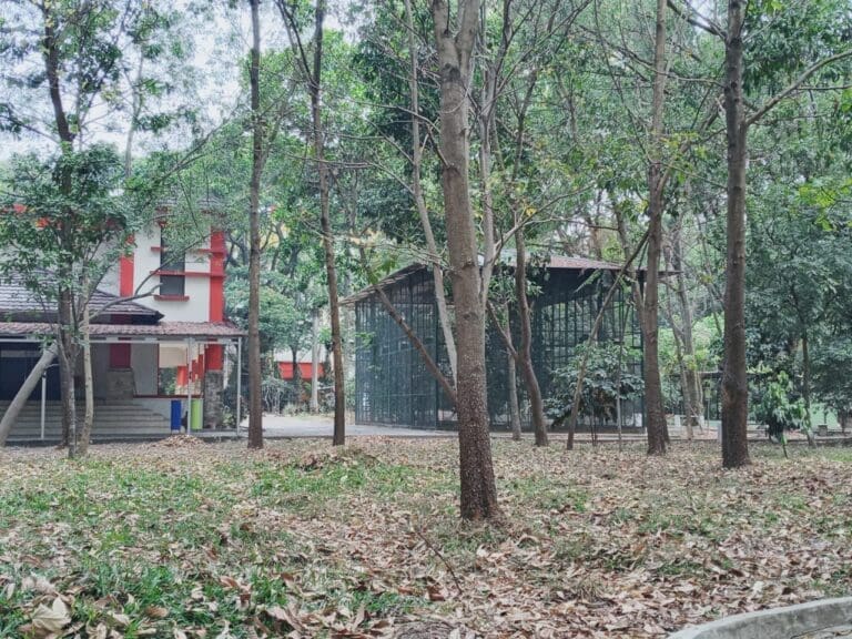 WhatsApp Image 2023 10 05 at 08.17.43