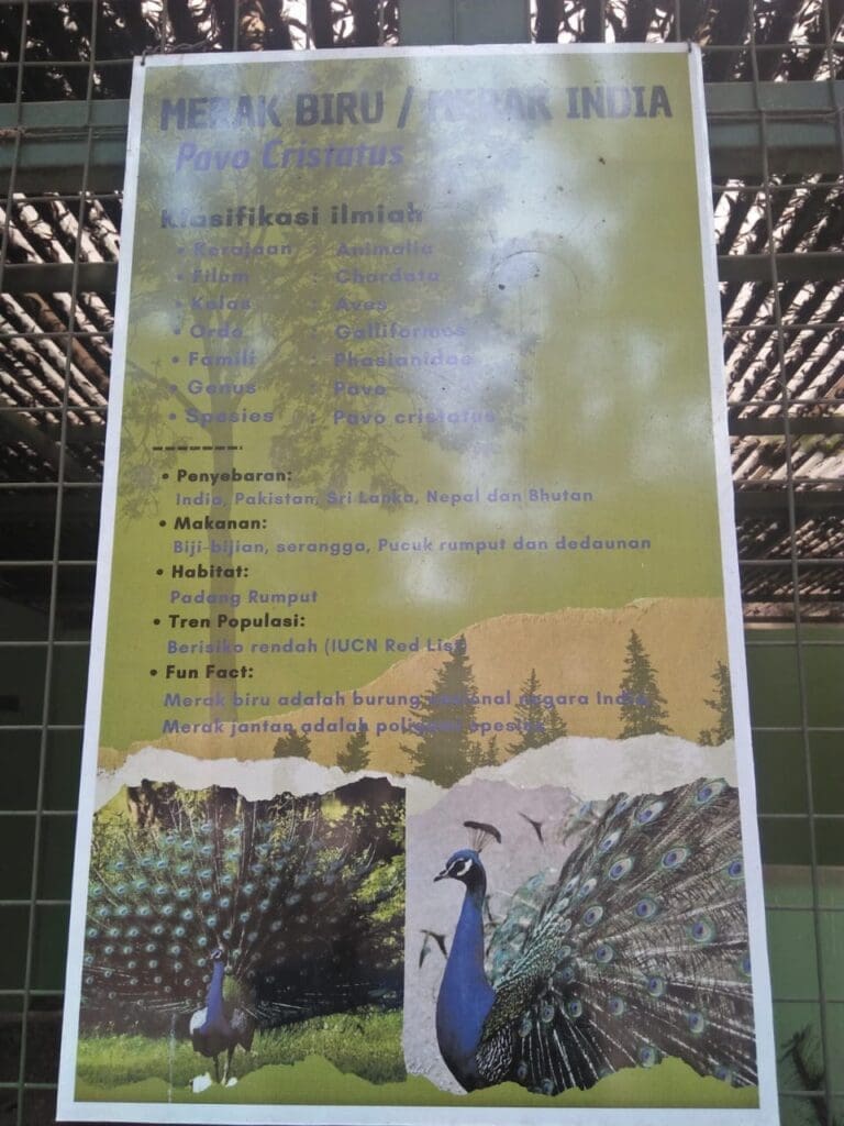 WhatsApp Image 2023 10 05 at 10.59.39