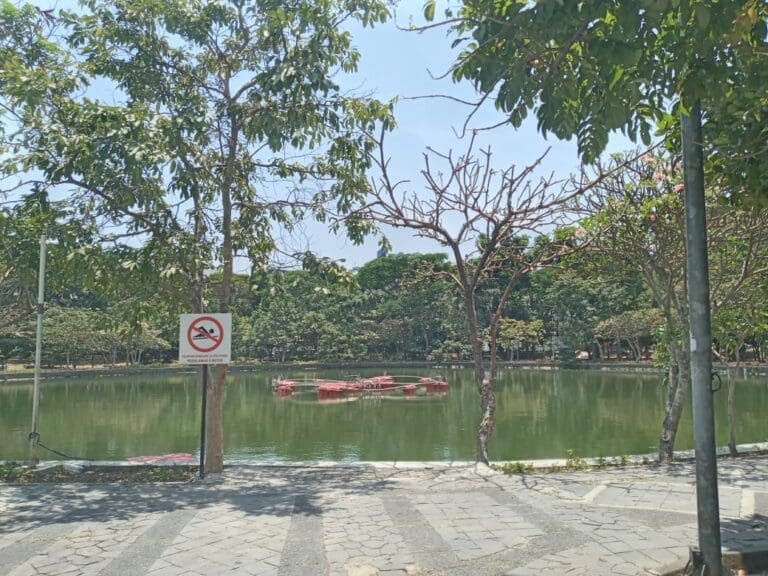 WhatsApp Image 2023 10 06 at 11.11.57