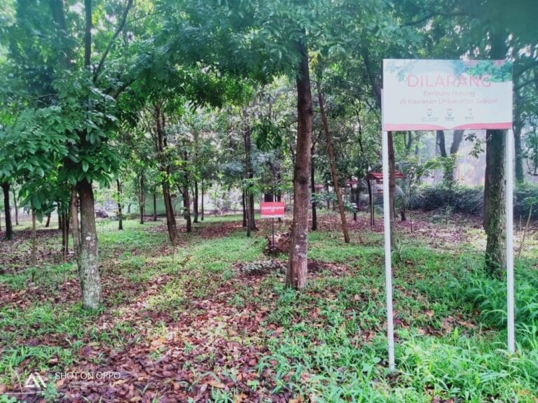 WhatsApp Image 2023 11 17 at 08.54.12