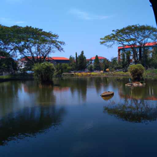 img w9gmls76cRb8XiAxo9wkHHAM