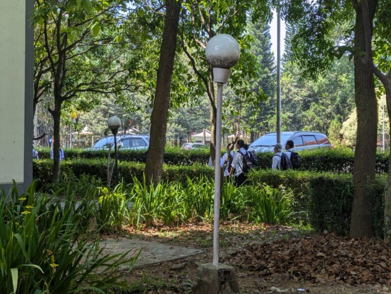 PXL 20240918 054937338 scaled