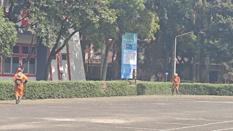 WhatsApp Image 2024 10 25 at 09.17.41 1 scaled