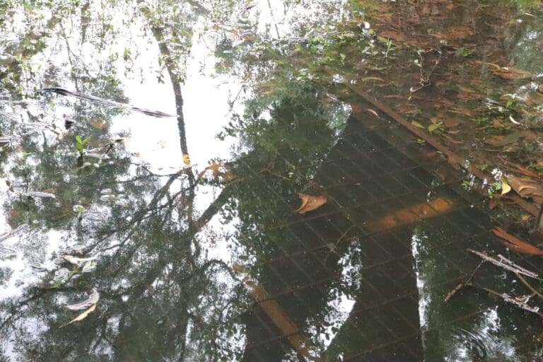 1dbe8953 e1c3 4b56 bc7f e381c1ce8b12