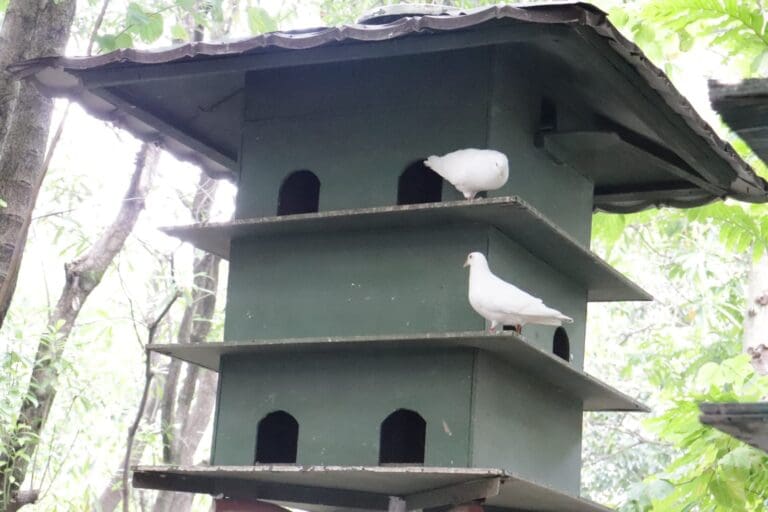 27efe582 9d1b 4b59 93b9 e3dab4cb0d49