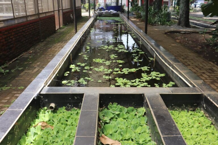 37140f04 64ae 46b5 b5da e3c40573ea1f