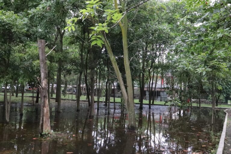 68535379 f5f6 4c92 906b 4f4a60f99739