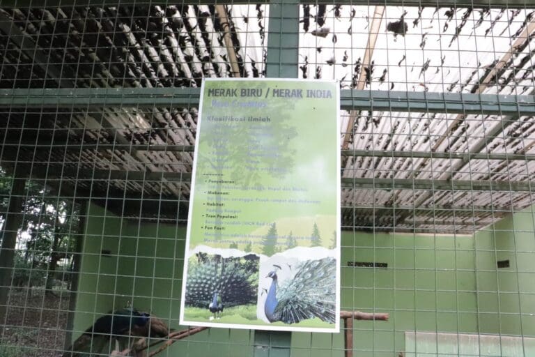 7a216c23 fad2 444f 947c bb9f354abef7