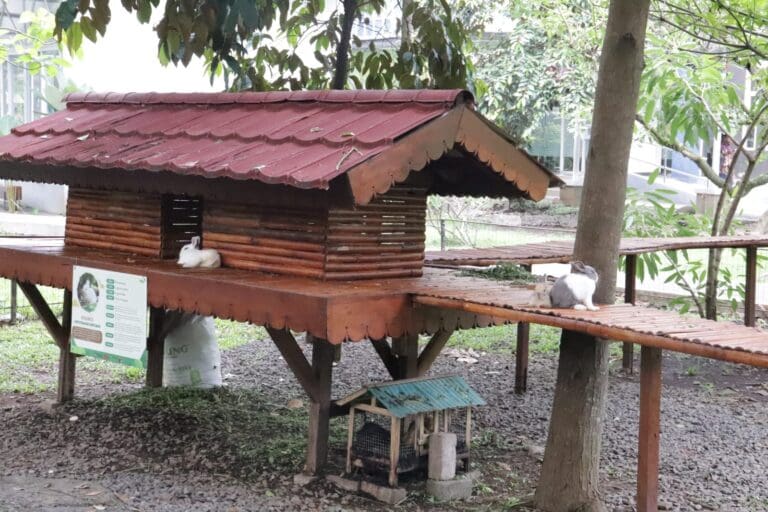 8e30ad85 a2f5 4ec6 ac3a c6089e99410c