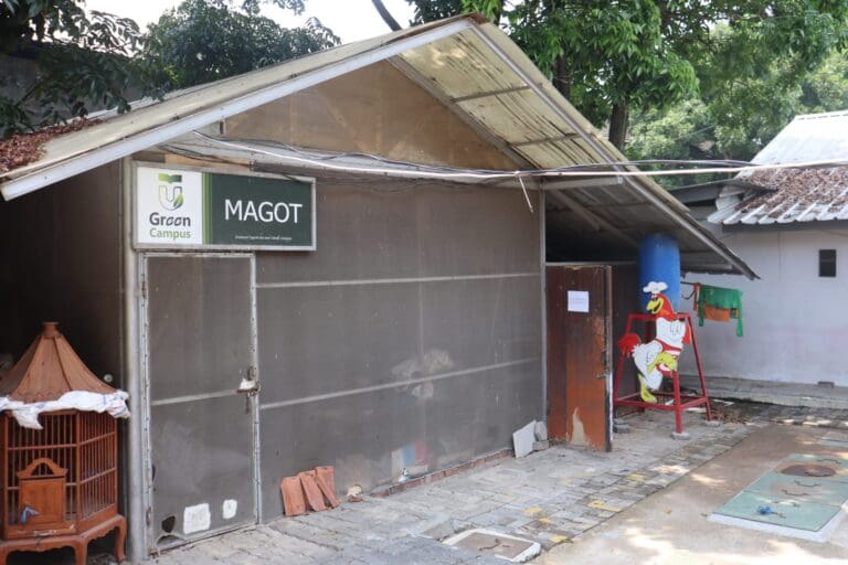 WhatsApp Image 2024 11 04 at 10.26.13